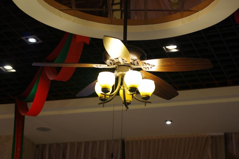 Ceiling Fan Replacement