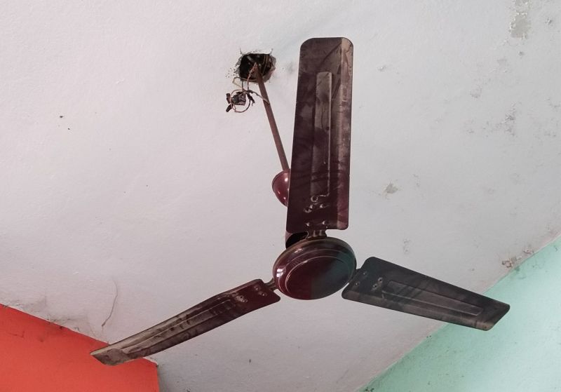 Ceiling Fan Service in Littleton, CO