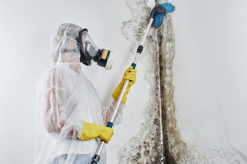 Mold Prevention